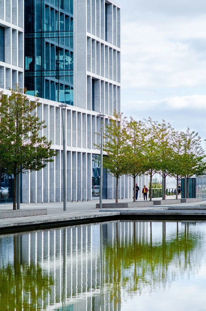 green trees beside body of water during daytime